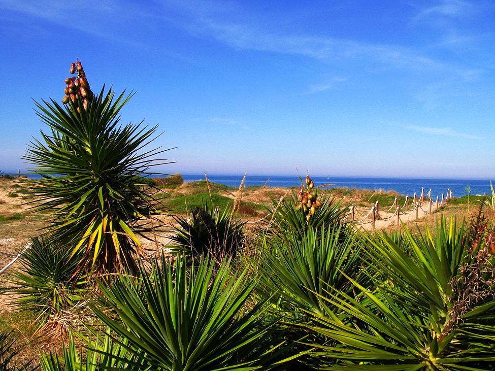 Camping Los Llanos Denia Eksteriør bilde